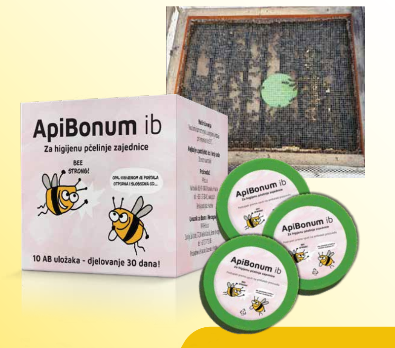 Apibonum ib